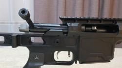 ДВЛ-10 Волкодав 308win