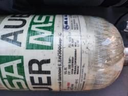 Edgan Леший -2 (.30)