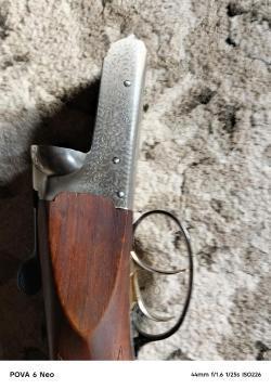 Еффеби Дельта