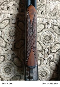 Еффеби Дельта