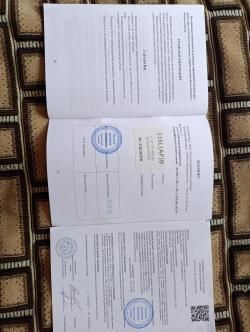 егерь булпап прямоток