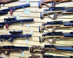 Егерь. Леший 2. Феникс. Пневматические винтовки от официального дилера.