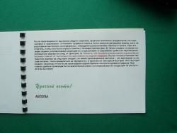 Электронно - оптический прицел ФОРВАРД