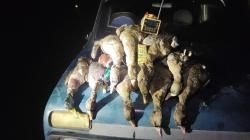 Электроманок Минск 1 NEW уже с 2 усилителями.