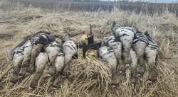 Электроманок Минск 1 NEW уже с 2 усилителями.