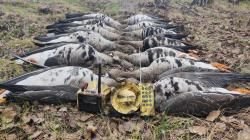 Электроманок Минск 1 NEW уже с 2 усилителями.