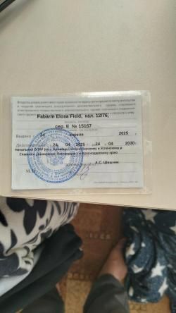 Фабарм элос а 