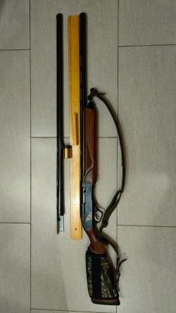Fabarm H 38 Lion Hunter Combo