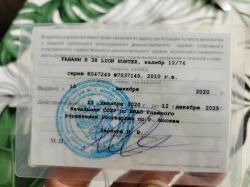 Fabarm H38 Lion hunter, калибр 12/76