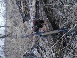 Фабарм хлр Италия