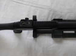 1) Fabarm Sdass.2)Winchester 1300