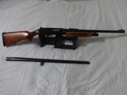 1) Fabarm Sdass.2)Winchester 1300