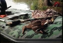 FAIR PREMIER EM 12×76