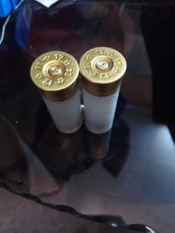 ФАЛЬШПАТРОНЫ 12 КАЛИБРА