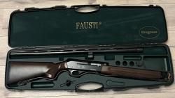 FAUSTI Progress
