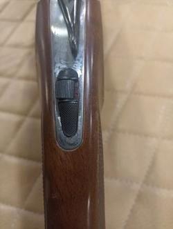 Fausti Stefano Albion к.12х76 №B51688