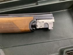 Fausti stefano Albion 