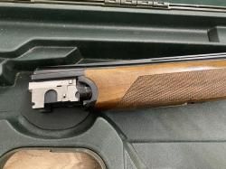 Fausti stefano Albion 