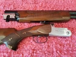 Fausti Stefano albion 