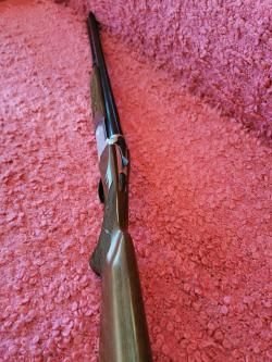 Fausti Stefano albion 