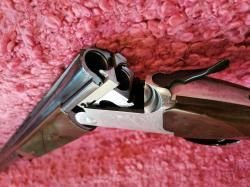 Fausti Stefano albion 