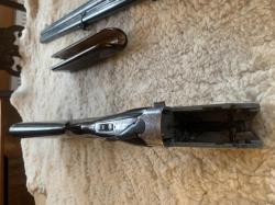 Fausti stefano elegant