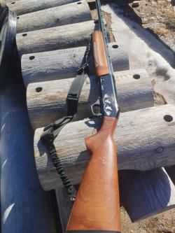 Fausti Stefano Progress 12/76