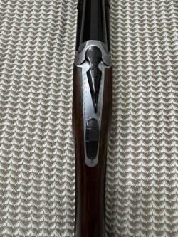 FAUSTI VOLO SL De Luxe (12к.)