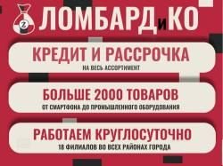 Фонарь-шоккер аккумуляторный 1101