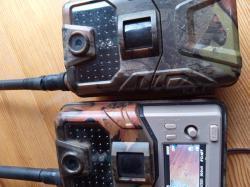 Фотоловушки