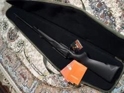 Франчи горизонт 308