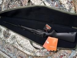 Франчи горизонт 308