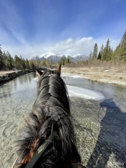 FRANCHI HORIZON 308 win