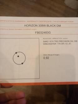 Franchi horizon 308