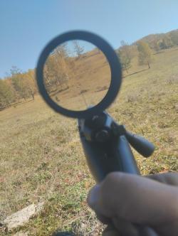 Franchi horizon 308win