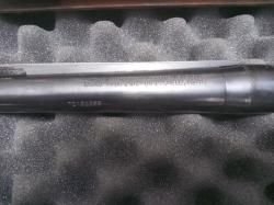 Franchi Inertia Predator