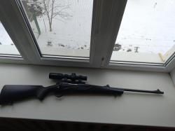 Франк горизонт 308