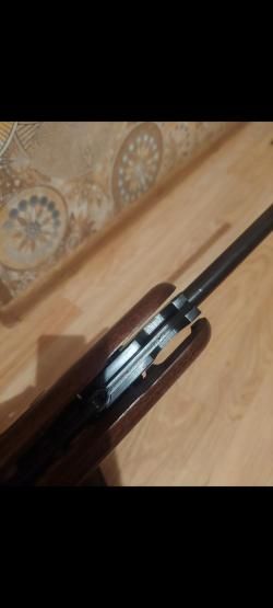 Gamo 440