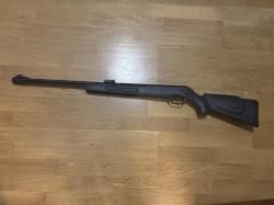 Gamo big cat cf-s