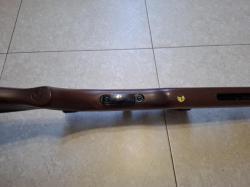 GAMO cfx royal