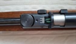 Gamo cfx Royal