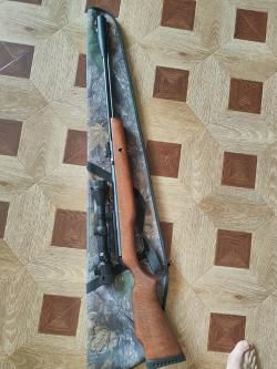 Gamo cfx Royal 