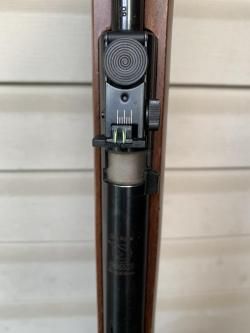 Gamo cfx royal