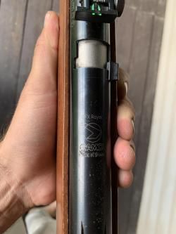 Gamo cfx royal