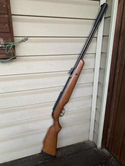 Gamo cfx royal