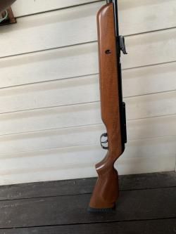 Gamo cfx royal