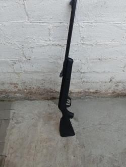 Gamo Delta