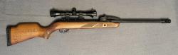 Gamo Fast Shot 10X