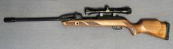 Gamo Fast Shot 10X