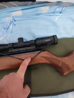 Gamo hanter 1250